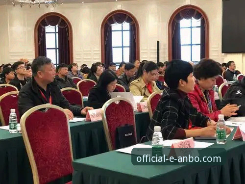 资深用户实战经验：安博体育下载障碍排查与解决方案全记录